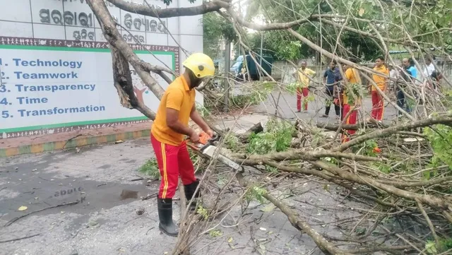 କାଳବୈଶାଖୀ ପ୍ରଭାବରେ ୯୧ କିଲୋମିଟର ବେଗରେ ପବନ ଅନୁଭୂତ, ଏହାର ପ୍ରଭାବରେ ଉପୁଡିପଡିଛି ଗଛ | ରାସ୍ତା ସଫେଇରେ ଲାଗିପଡିଛନ୍ତି ଅଗ୍ନିଶମ କର୍ମଚାରୀ |