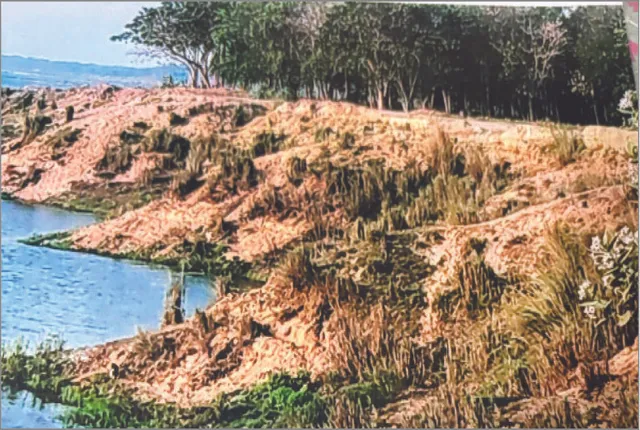 କୁଆଖାଇରୁ ବଢ଼ୁଛି ବାଲି ଚୋରା ଚାଲାଣ: ପଠାରେ ନଷ୍ଟ ହେଉଛି ଗ୍ରାମ୍ୟ ଜଙ୍ଗଲ