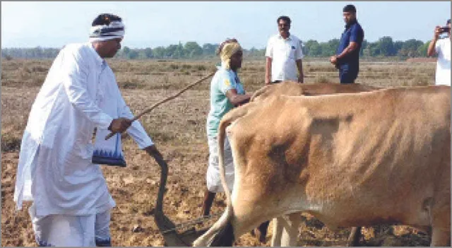 ଅଖିମୁଠି ଅନୁକୂଳ କଲେ ପ୍ରଣବ: ଚଷା ଲକ୍ଷେ ଜୀବନ ପୋଷା