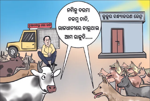 ରାଜଧାନୀର ଅପରାଜେୟ ବୁଲାଗୋରୁ ଓ କୁକୁର: ସହରରେ ଅଭାବନୀୟ ସ୍ଥିତି