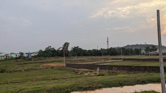 କମି କମି ଆସିଲାଣି ଚାଷ ଜମି, ଖାଦ୍ୟ ସଂକଟର ସମ୍ଭାବନା