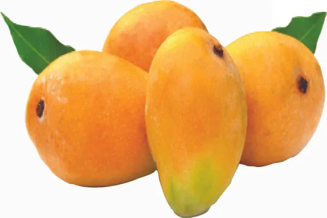 ରାଜଧାନୀବାସୀ ଦିନକୁ ଖାଉଛନ୍ତି ୩ ଶହ ଟନ୍‌ ଆମ୍ବ: ଓଡ଼ିଶାରେ ବଜାର ସୁବିଧା ନଥିବାରୁ ବାହାର ରାଜ୍ୟ ଭରସା