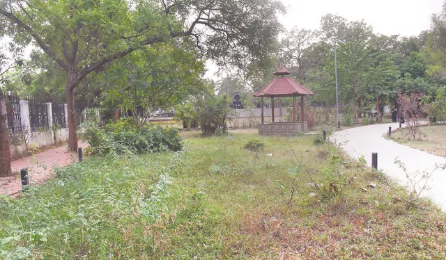 ଅନ୍ଧାରରେ ଅହିଂସା ସ୍ଥଳ, ସନ୍ଧ୍ୟାପରେ ଗଞ୍ଜେଇମାଡ଼