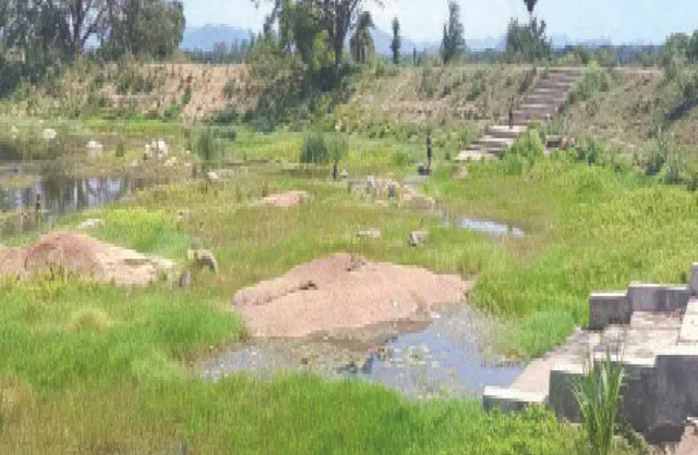 ଦିଗପହଣ୍ଡି ବି.ତୁରୁବୁଡ଼ିରେ କିଡ୍‌ନି ‌ରୋଗ ଆତଙ୍କ: ଦୁଇବର୍ଷରେ ୨୦ ମଲେଣି, ୫୦ରୁ ଅଧିକ ଆକ୍ରାନ୍ତ