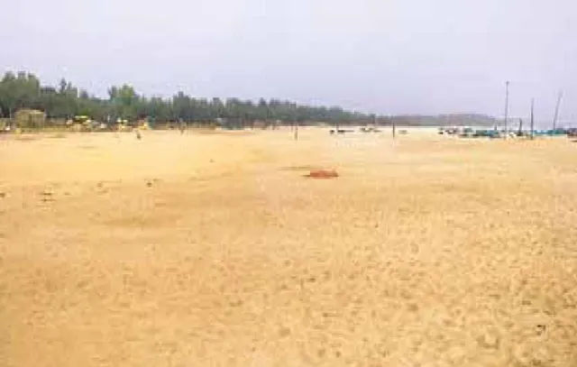 ବିଶ୍ବ କଇଁଛ ଦିବସରେ ନିରାଶା: ଋଷିକୁଲ୍ୟା ମୁହାଣକୁ ଆସିଲେନି ଅଲିଭ୍‌ରିଡ୍‌ଲେ