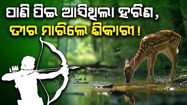 ହରିଣ ଶିକାର ନେଇ ଭିଡିଓ ଭାଇରାଲ: ୨ ଅଭିଯୁକ୍ତ ଅଟକ, ଏକାଧିକ ଫେରାର