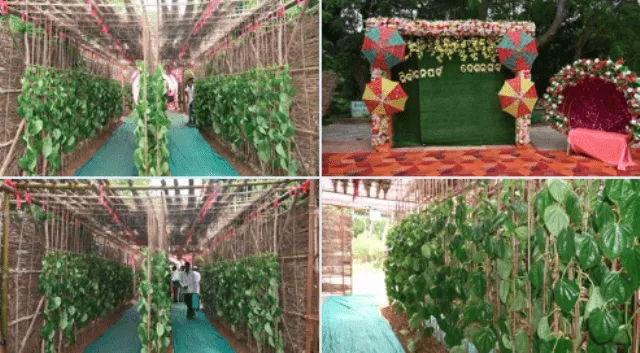 କାକଟପୁରର ପାନବରଜ ପୋଲିଂ ବୁଥ୍: ସୋସିଆଲ ମିଡ଼ିଆରେ ଭାଇରାଲ