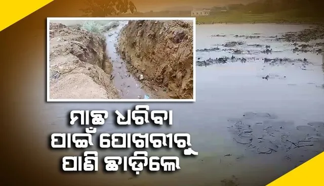 ମାଛ ଧରିବା ପାଇଁ ପୋଖରୀରୁ ଜଳ ଛାଡ଼ିଲେ; ଦାନା ବାନ୍ଧୁଛି ୨ ଗୋଷ୍ଠୀ ମଧ୍ୟରେ ସଂଘର୍ଷ