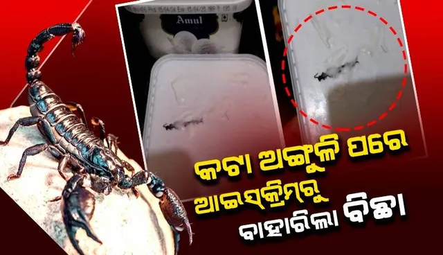 ଅନଲାଇନରୁ ଆଇସକ୍ରିମ ମଗାଉଥିଲେ ହୋଇଯାଆନ୍ତୁ ସାବଧାନ! ବାହାରୁଛି ମଣିଷର କଟା ଆଙ୍ଗୁଳି ଓ ବିଛା