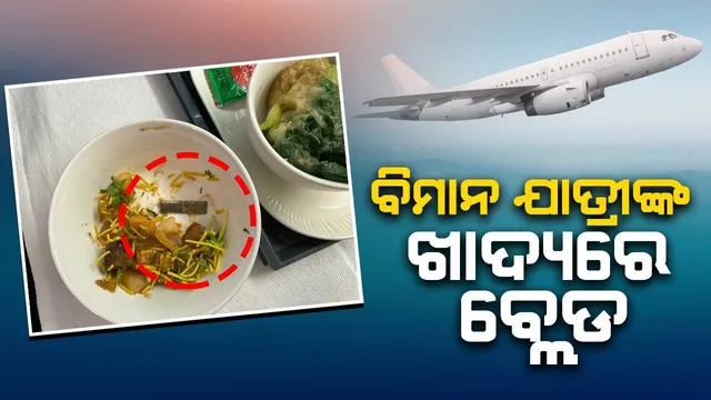 ବିମାନ ଯାତ୍ରୀଙ୍କ ଖାଦ୍ୟରେ ‌‌‌ବ୍ଲେଡ ବାହାରିବା ପରେ ଏୟାର ଇଣ୍ଡିଆର ପ୍ରତିକ୍ରିୟା