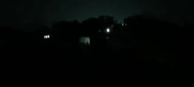 ଜନବସତି ମୁଁହା ହାତୀପଲ: ନଷ୍ଟ କଲେ ମକାଚାଷ, କଦଳୀ ବଗିଚା