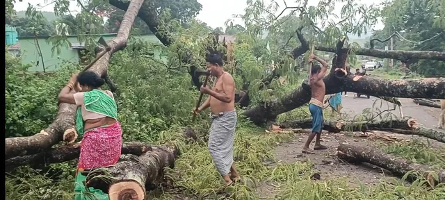 କାଳବୈଶାଖୀର ତାଣ୍ଡବ: ବ୍ୟାପକ ଗଛ ରାସ୍ତାରେ ପଡ଼ିଲା