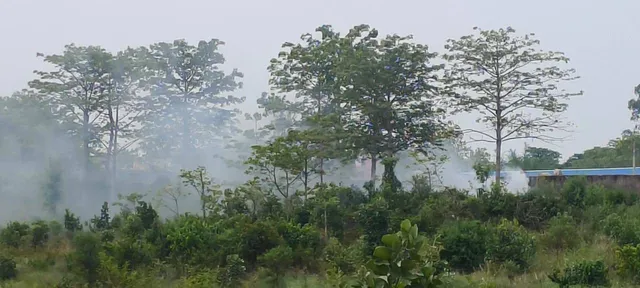 ଅଳିଆଗଦାର ନିଆଁରେ ସାଧାରଣ ଜନତା ହନ୍ତସନ୍ତ