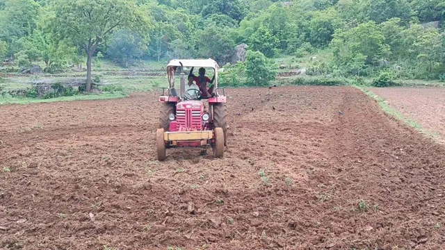 ମାଲକାନଗିରି ଜିଲ୍ଲାରେ ଜୁନରେ ନିଅଣ୍ଟିଆ ବର୍ଷା: ମୁଣ୍ଡରେ ହାତ ଦେଲା ଚାଷୀ