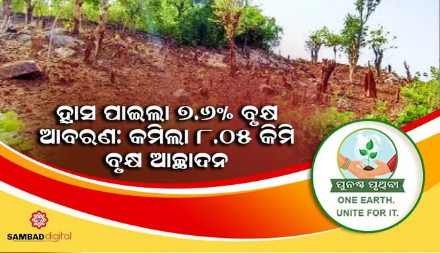 ହ୍ରାସପାଇଲା ୭.୬% ବୃକ୍ଷ ଆବରଣ: କମିଲା ୮.୦୫ କିମି ବୃକ୍ଷ ଆଚ୍ଛାଦନ