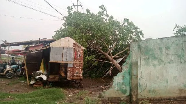 କାଳବୈଶାଖୀ ଝଡ଼ରେ ବ୍ୟାପକ କ୍ଷୟକ୍ଷତି: ବିଦ୍ୟୁତ୍‌ ଖୁଣ୍ଟ ଓ ଗଛ ଉପୁଡ଼ିଲା, ୭ଘଣ୍ଟା ବିଦ୍ୟୁତ୍‌ ସେବା ଠପ୍‌