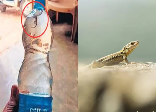 କଂଗ୍ରେସ ନେତାଙ୍କ ପାଣିବୋତଲରୁ ବାହାରିଲା ମଲା ଝିଟିପିଟି