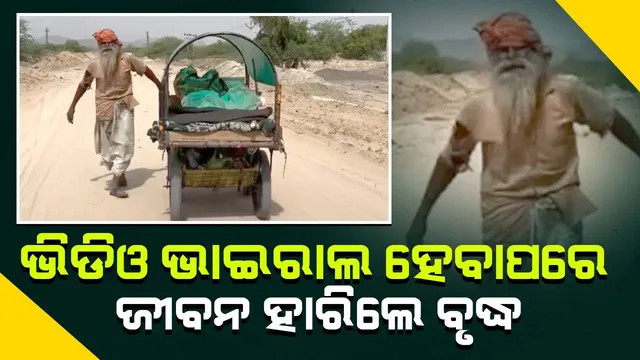 ‌ବର୍ଜ୍ୟବସ୍ତୁ ସଂଗ୍ରହକାରୀ ବୃଦ୍ଧଙ୍କ ଜୀବନ ନେଲା ଭାଇରାଲ ଭିଡିଓ