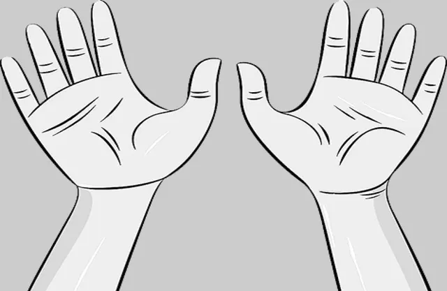 ରାଜନୀତିରେ ହାତ: ଚିନ୍ମୟ ଚେତନା