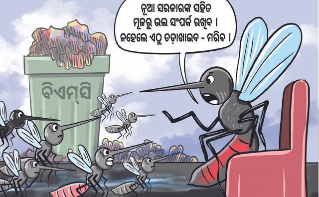 ରାଜଧାନୀକୁ ଡରାଇଲାଣି ଡେଙ୍ଗୁ: ଡ୍ରେନ୍‌-୧୦ରେ ଛଡ଼ା ହେଲା ଗମ୍ବୁସିଆ ମାଛ