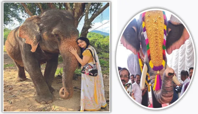 ଅଦାଙ୍କ ମହାନତା