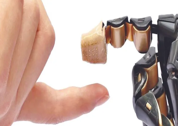 ବିଶ୍ବର ପ୍ରଥମ ୩ଡି ଇ-ସ୍କିନ୍