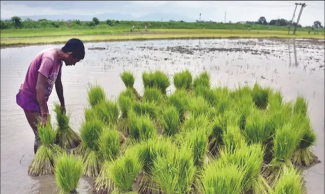 ତେଲେଙ୍ଗାନା ପରେ ପଞ୍ଜାବ, ଝାଡ଼ଖଣ୍ଡ: ଜୋର ଧରିଲା କୃଷି ଋଣ ଛାଡ଼ ଦାବି