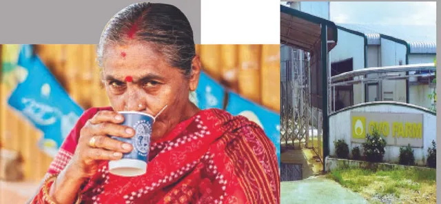 ଓଡ଼ିଶାରୁ ଆରମ୍ଭ, ଦେଶବିଦେଶରେ ଲୋକପ୍ରିୟ