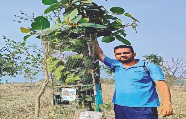 ପରିବେଶ ଯୋଦ୍ଧା: ଗଛ ପାଇଁ ଉତ୍ସର୍ଗୀକୃତ ଶିବରାମ