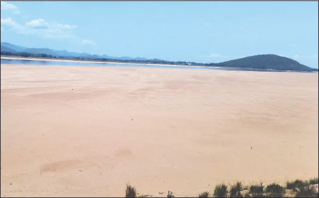 ମହାନଦୀରେ ପାଣି ନାହିଁ: ତଟବର୍ତ୍ତୀ ଅଞ୍ଚଳର ଶୋଷ ମେଣ୍ଟୁନି