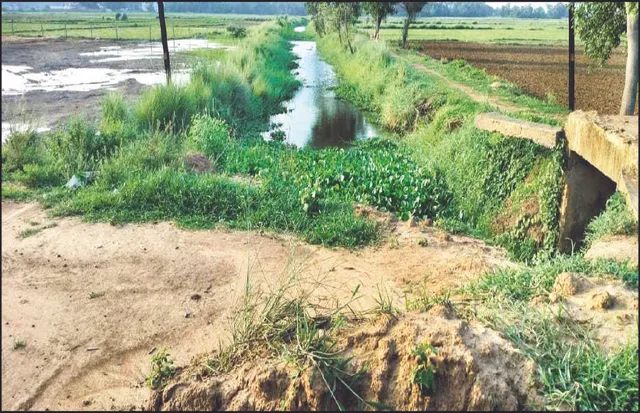 ଠିକାଦାର ପୋତୁଛି ସଫେଇ ନାଳି: ପାଣିରେ ବୁଡ଼ିବ ୯୪୫ ଏକର ରୁଆଧାନ