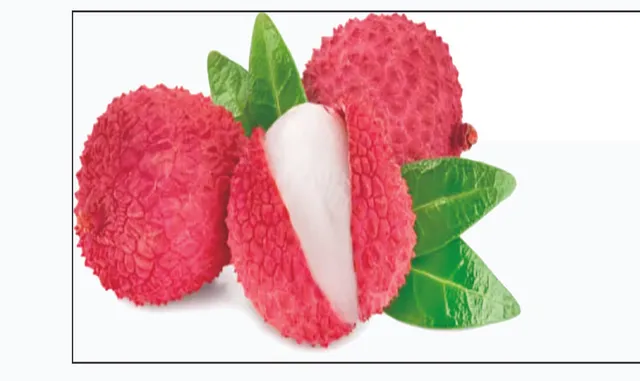 ଲିଚୁ ନମୁନା ଗଲା ପରୀକ୍ଷାଗାର