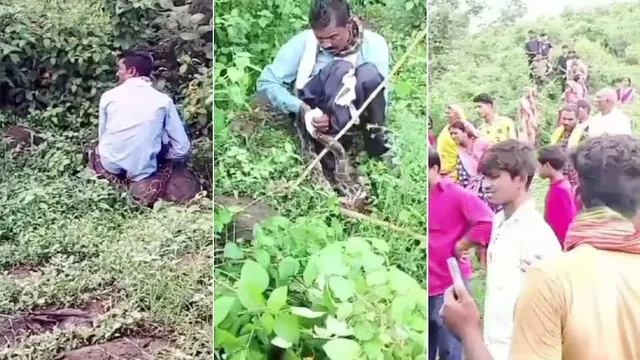 ଶୌଚ ପାଇଁ ଯାଇଥିବା ବେଳେ ବ୍ୟକ୍ତିଙ୍କ ଶରୀରରେ ଗୁଡ଼ାଇ ହୋଇ ଗିଳିବାକୁ ଉଦ୍ୟମ କରୁଥିଲା ଅଜଗର: ଏପରି ବଞ୍ଚିଲା ଜୀବନ