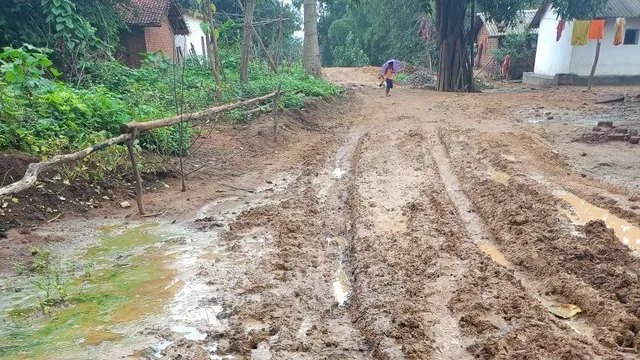 ଟିପାଗୁଡ଼ା ଗ୍ରାମକୁ ନାହିଁ ପକ୍କା ରାସ୍ତା: ରୋଗୀ ଓ ଗର୍ଭବତୀ ମହିଳାଙ୍କୁ ଖଟିଆ ଭରସା