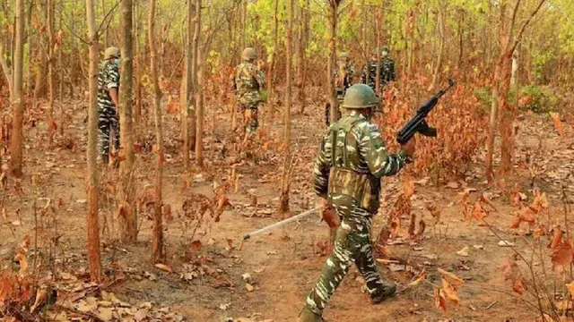 ମହାରାଷ୍ଟ୍ରରେ ବଡ ଏନକାଉଣ୍ଟର: ଗଡଚିରୋଲିରେ ୧୨ ମାଓବାଦୀ ନିପାତ