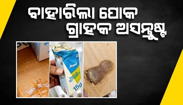 ଅମୁଲ ମୋ ବିଶ୍ବାସକୁ ଭାଙ୍ଗି ଦେଇଛି, ବଟରମିଲକ ପ୍ୟାକେଟ ଭିତରୁ ବାହାରିଲା ସାଲୁବାଲୁ ପୋକ