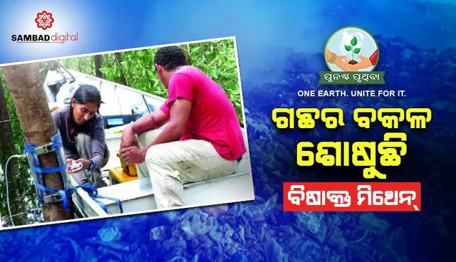 ଗଛର ବକଳ ଶୋଷୁଛି ବିଷାକ୍ତ ମିଥେନ୍‌