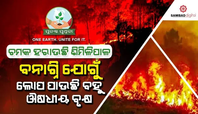 ଚମକ ହରାଉଛି ଶିମିଳିପାଳ: ବନାଗ୍ନି ଯୋଗୁଁ ଲୋପ ପାଉଛି ବହୁ ଔଷଧୀୟ ବୃକ୍ଷ, ମରୁଛନ୍ତି ପଶୁପକ୍ଷୀ