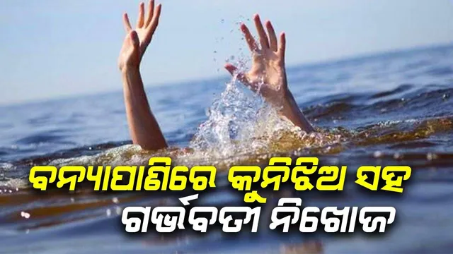 ଶୌଚ ହେବାକୁ ଯାଇ ଶିଶୁକନ୍ୟା ସହିତ ଗର୍ଭବତୀ ନଦୀରେ ନିଖୋଜ