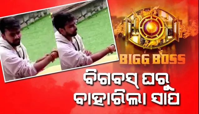 ବିଗବସ ଓଟିଟି ହାଉସରେ ସାପ ବାହାରିବା ଘଟଣାକୁ ନେଇ ନେଇ ଜିଓ ସିନେମାର ପ୍ରତିକ୍ରିୟା