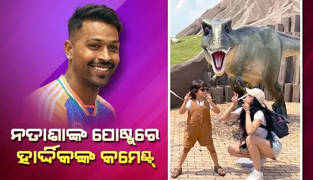 ନତାଶାଙ୍କ ଫଟୋରେ ହାର୍ଦ୍ଦିକଙ୍କ କମେଣ୍ଟ୍‌ ଦେଖି ଖୁସି ହେଲେ ପ୍ରଶଂସକ