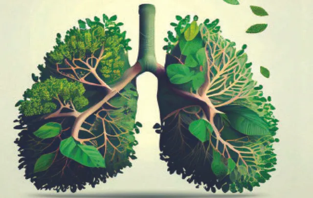 ବିପୁଳ ଅମ୍ଳଜାନ ଦେଉଥିବା ଭାରତୀୟ ବୃକ୍ଷ