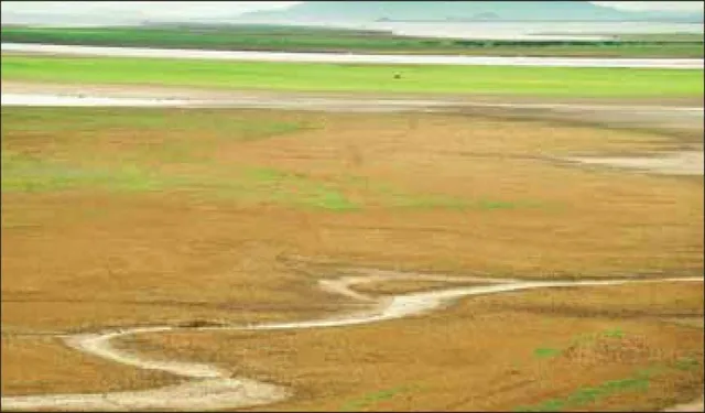 ହୀରାକୁଦ ଜଳଭଣ୍ଡାରରେ ଜଳ ନାହିଁ