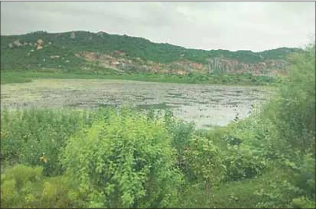 କଳାପଥର କେଳେଙ୍କାରୀ: ଡ୍ୟାମ୍ ଭିତରେ ଖାଦାନ, ଉଜାଡ଼ିଦେଲେ ୩୦ ପଞ୍ଚାୟତର ଜୀବିକା