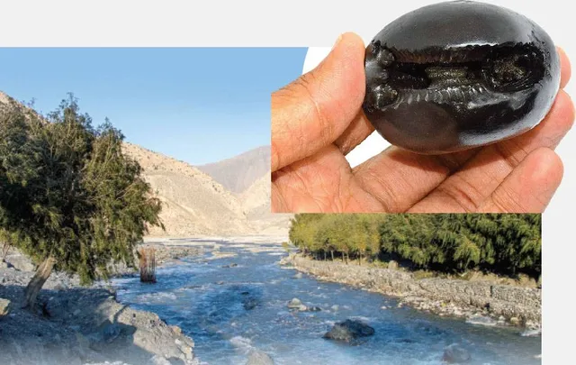 ସଂକଟରେ ଶାଳଗ୍ରାମ!