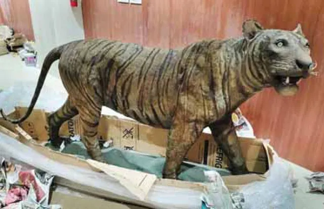 ଉଦ୍‌ଘାଟନ ଅପେକ୍ଷାରେ ଗୋପାଳପୁର ଜେଡ୍‌ଏସ୍ଆଇ ମ୍ୟୁଜିୟମ୍‌: ପର୍ଯ୍ୟଟକଙ୍କୁ ଆକର୍ଷିତ କରିବ ୬ଶହ ଜୀବଙ୍କ ମଡେଲ ଓ କଙ୍କାଳ