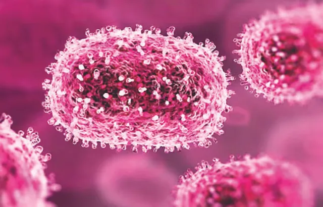 ଗୁଜରାଟରେ ଚାନ୍ଦିପୁରା ଭୂତାଣୁ ସଂକ୍ରମଣ ମୃତ୍ୟୁସଂଖ୍ୟା ୧୪କୁ ବୃଦ୍ଧି, ୨୬ ସନ୍ଦିଗ୍ଧ ଆକ୍ରାନ୍ତ ଚିହ୍ନଟ