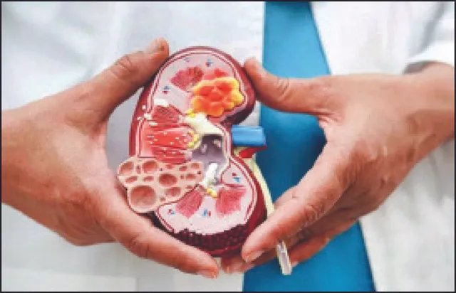 ଭାରତରେ  ୪.୯% ଶିଶୁ-କିଶୋର କିଡ୍‌ନି ସମସ୍ୟାରେ ପୀଡ଼ିତ