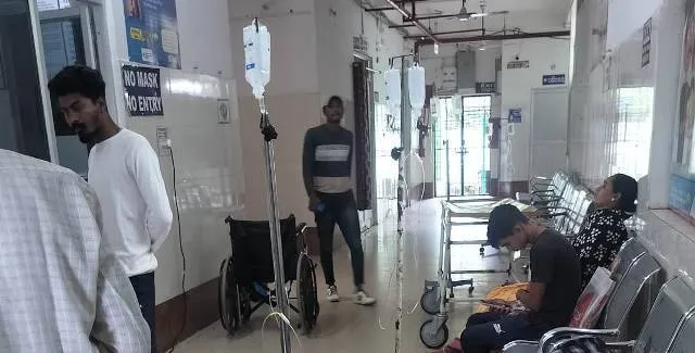 ବିଷାକ୍ତ ଛତୁ ଖାଇ ୧୦ ଗୁରୁତର, ନୂଆପଡ଼ା ଜିଲ୍ଲା ମୁଖ୍ୟ ଚିକିତ୍ସାଳୟରେ ୩ ଭର୍ତ୍ତି