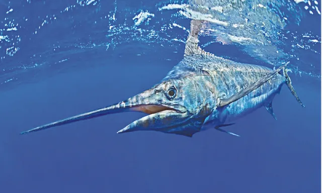 ଜଳରେ କମୁଛି ଅମ୍ଳଜାନ